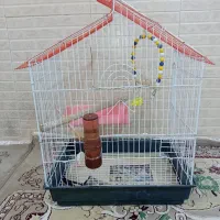 قفس پرنده