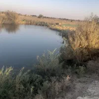 ۱۲ من زمین کشاورزی|اجارهٔ دفتر صنعتی، کشاورزی، تجاری|زابل, |دیوار