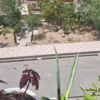 مسکن مهر ۸۴ متری فاز ۷ مهستان|فروش آپارتمان|هشتگرد, فاز ۷ مهستان|دیوار