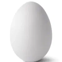 تخم مرغ نذر چین