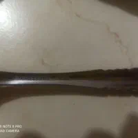 قاشق و چنگال غذا خوری میوه خوری|ظروف سرو و پذیرایی|فولادشهر, C1|دیوار