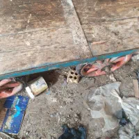 گاری چهار چرخ سالم