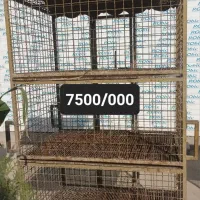 قفس طوربند دوچرخه گاری