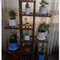 استندگل وگل|گل و گیاه طبیعی|اردبیل, |دیوار