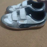 کفش پوما|کیف، کفش، کمربند|شیراز, ابیوردی|دیوار