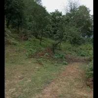 زمین ویلایی خطبه سرا|فروش زمین و ملک کلنگی|اردبیل, |دیوار