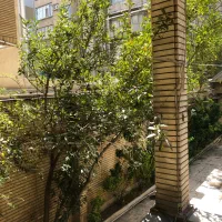 کارمند اداری و دستیار مدیر عامل