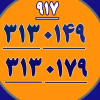 ۹۱۷.۳۱۳.۰۱۴۹