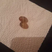 مهره برد قدیمی