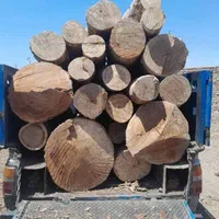 درخت چوب|خدمات باغبانی و درختکاری|تهران, گمرک|دیوار