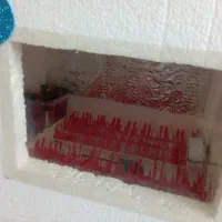 دستگاه جوجه کشی کاملا اتومات