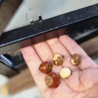 هسته شکن همه کاره|سایر لوازم برقی|اصفهان, دشتستان|دیوار