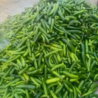 با سلام خیار شور درجه یک