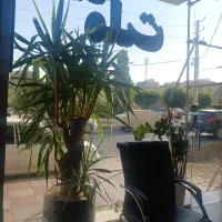 فروش ۱۶۰ متر تجاری انباری پله خور سند تک برگ
