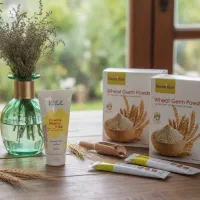 پودر جوانه گندم ارگانیک بین استار نمایندگی هشتگرد