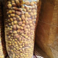 قصب سفید تازه|حراج|خفر, |دیوار