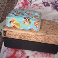 سه عدد کیف سی دی