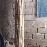 چیت نو بدون زدگی