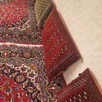پشتی سنتی مناسب|پشتی|رشت, استقامت ۱|دیوار