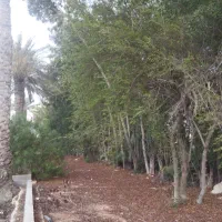 عمران و ساختمان