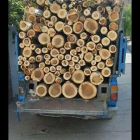 خرید و فروش انواع چوب در حومه بوکان وشاهیندژ|خدمات باغبانی و درختکاری|بوکان, |دیوار