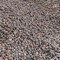 خریدار (پون) ضایعات خرما|خدمات پیشه و مهارت|سیب و سوران, |دیوار