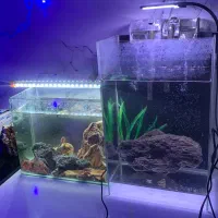 آکواریوم با تمامی تجهیزات
