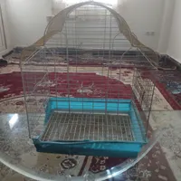 قفس سلطنتی پرنده|لوازم جانبی حیوانات|ایذه, |دیوار