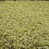 عرقیات خااص خانگی