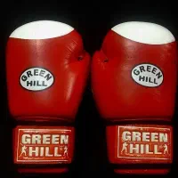 دستکش بوکس و دستکش MMA