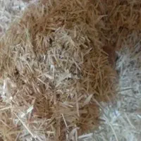 فروش کاه گندم خورد شده