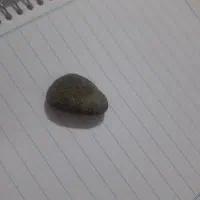 شهاب سنگ|کلکسیون اشیاء عتیقه|اشتهارد, |دیوار