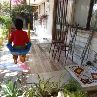 محیطی آرام و دلنشین نزدیک به کوه و جنگل و دریا|اجارهٔ کوتاه‌مدت آپارتمان و سوئیت|کلاچای, |دیوار