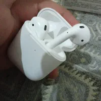 اصل اصل معاوضه با عروس هلندی