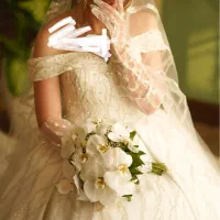 لباس عروس مزونی درحدنو