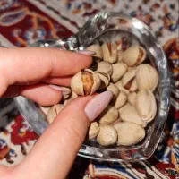 پسته کله قوچی امسال|خوردنی و آشامیدنی|تهران, مسعودیه|دیوار