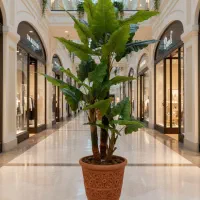 پخش درخت مصنوعی|گل مصنوعی|کرج, شهرک بنفشه|دیوار