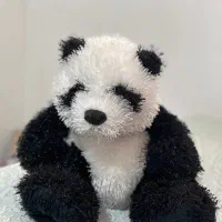 پاندا پولیشی