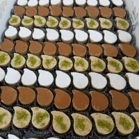 انواع سفارشات خانگی