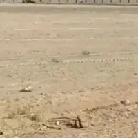 فاز۳ نیروی دریایی