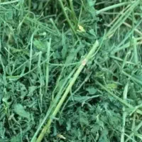 فروش یونجه و گیاه