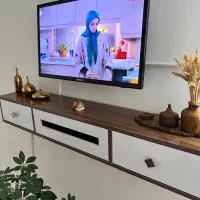 تلویزیون