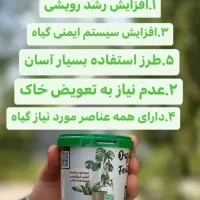 قرص کود جادویی ۱۲۰ عددی|گل و گیاه طبیعی|رشت, منظریه|دیوار