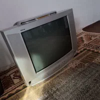 تلویزیون