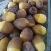 طب برهی