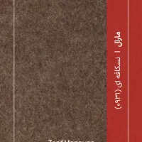 موکت مارال ظریف مشکلی ذغالی و قهوه ای و طوسی|موکت|رشت, گلسار|دیوار