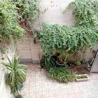 فروش زمین ۸۴ متری در مهرآباد جنوبی|فروش زمین و ملک کلنگی|تهران, مهرآباد جنوبی|دیوار