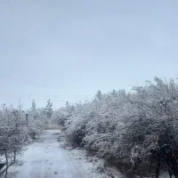 کوی-راه-حق-مرق-باغ-1000متری-سند-تک-برگ-چاه-اختصاصی