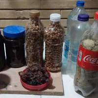 سلام محصولات خانگی