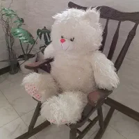 خرس بزرگ|اسباببازی|اصفهان, دشتستان|دیوار